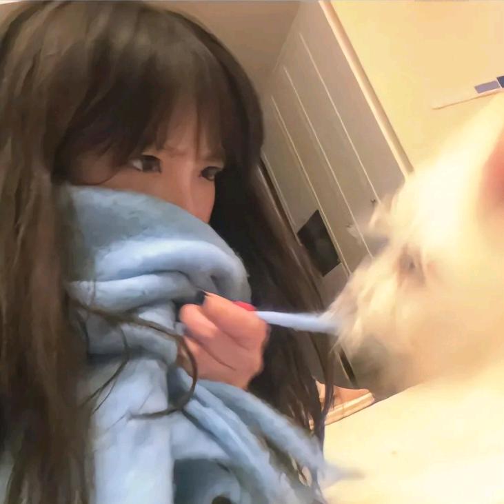 𝑿.鲨鱼酷裤ˣᶜ