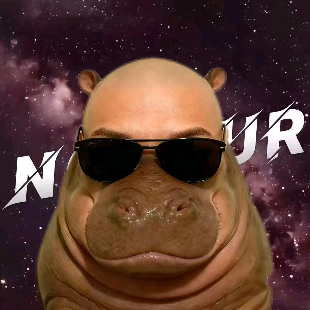𝙉.等冬