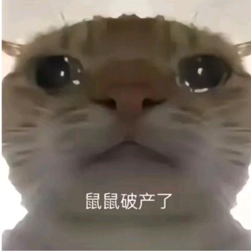 南鸽（三角洲行动）