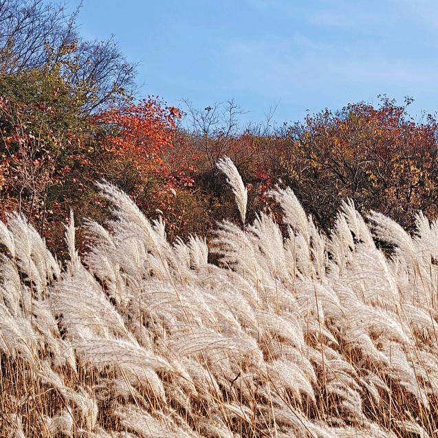 鸿运酒店户外用品厂家