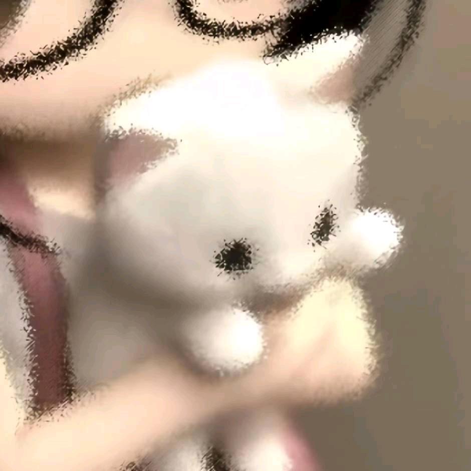 挣钱养一只叫金世颜的小猫