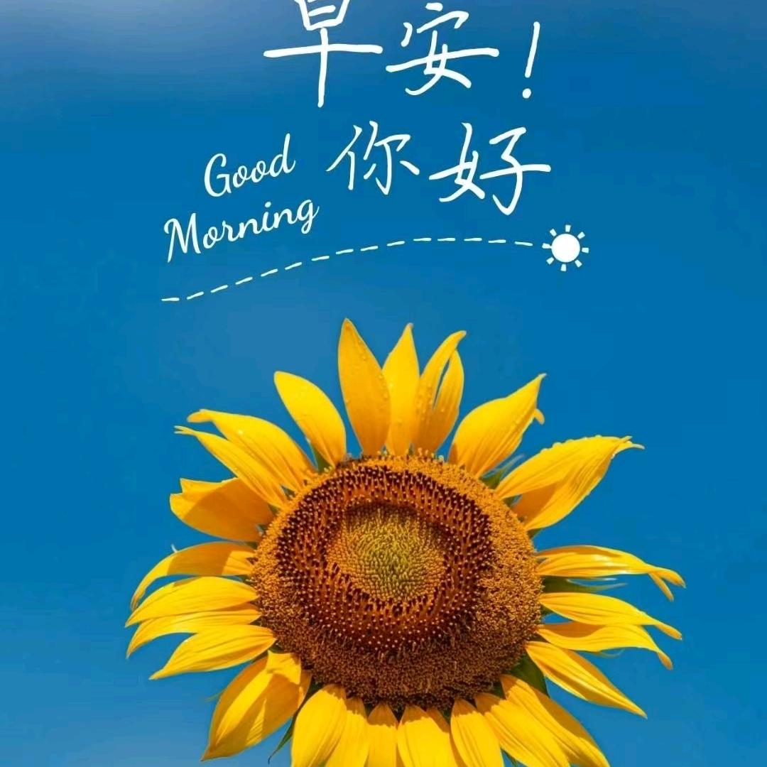 风光无限