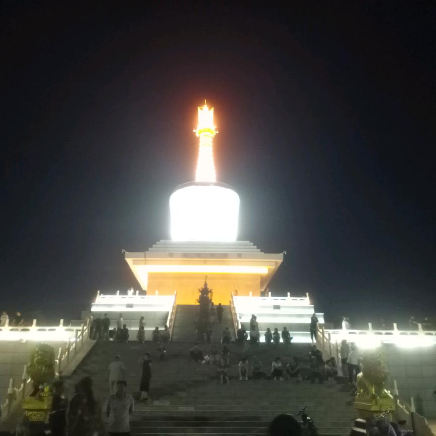 江山代有木林森