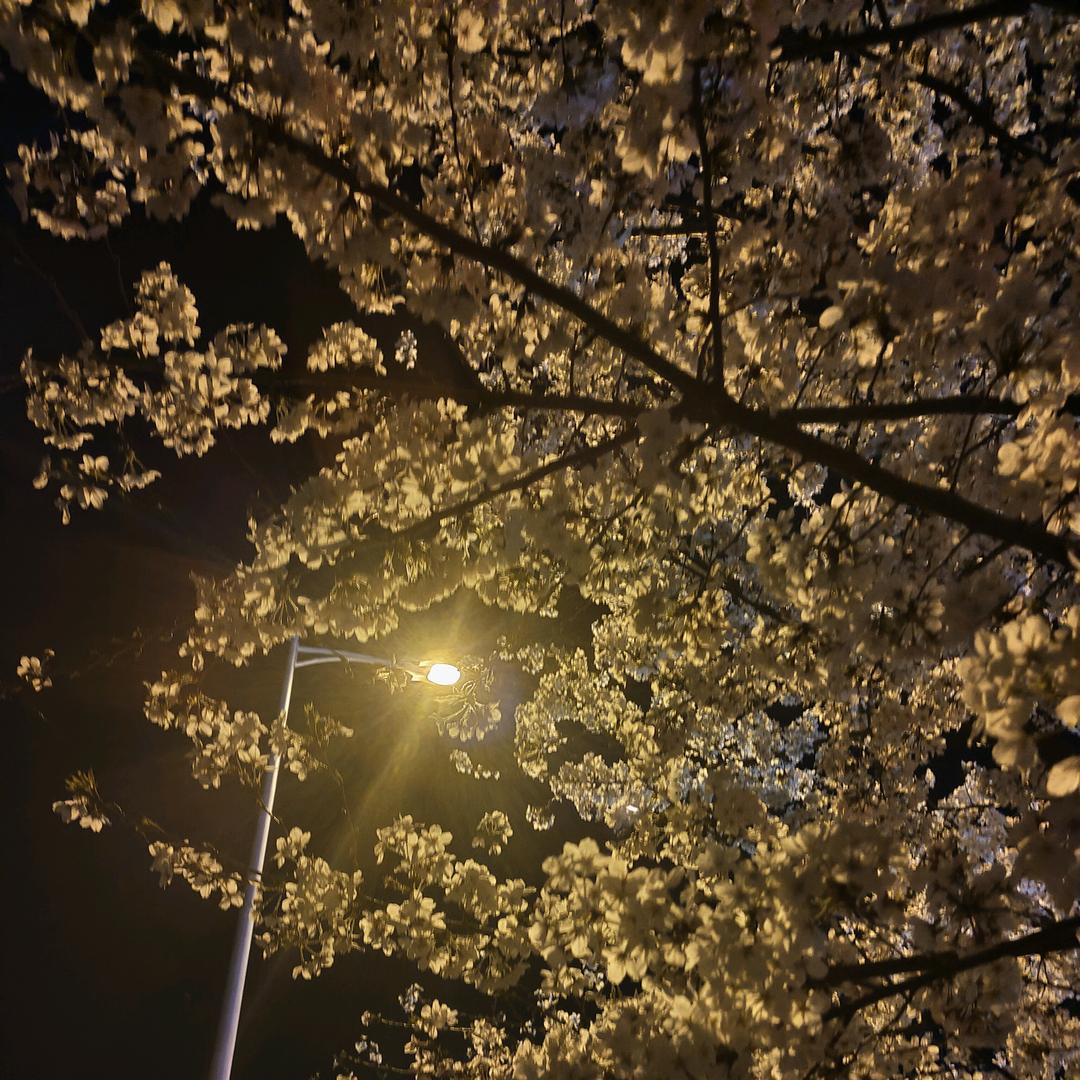 … … … … … …