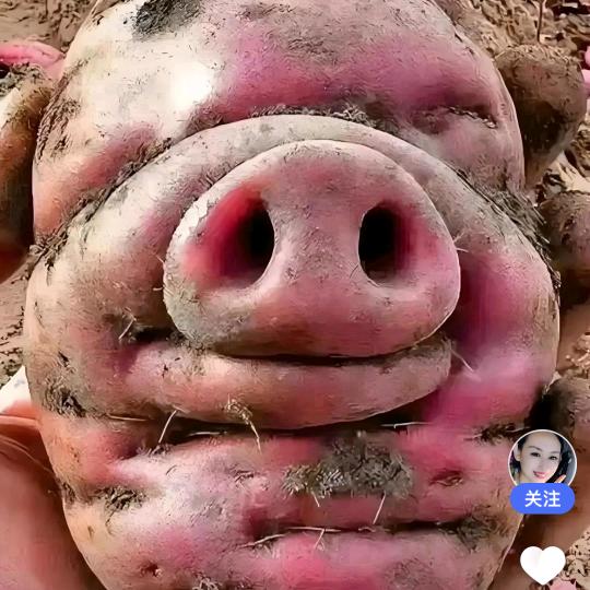 欭惗