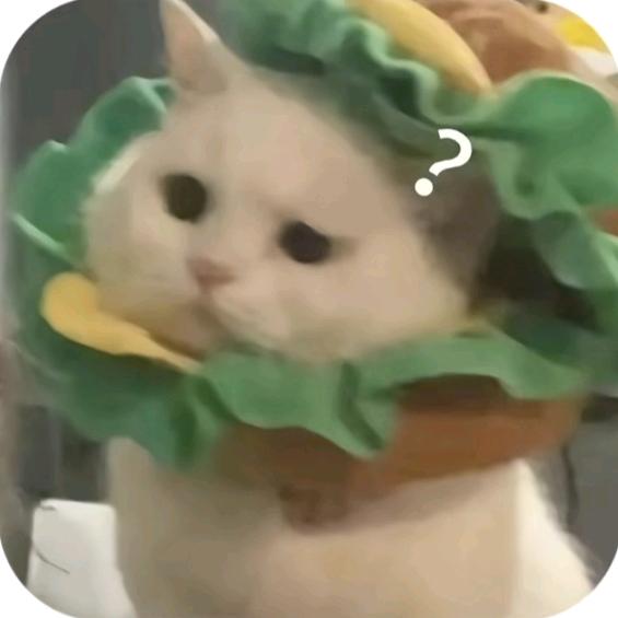 辰眠夏