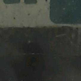小猫钓鱼