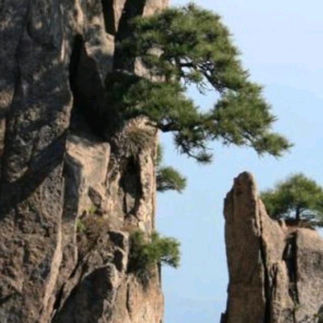 溶异 “家乡美”