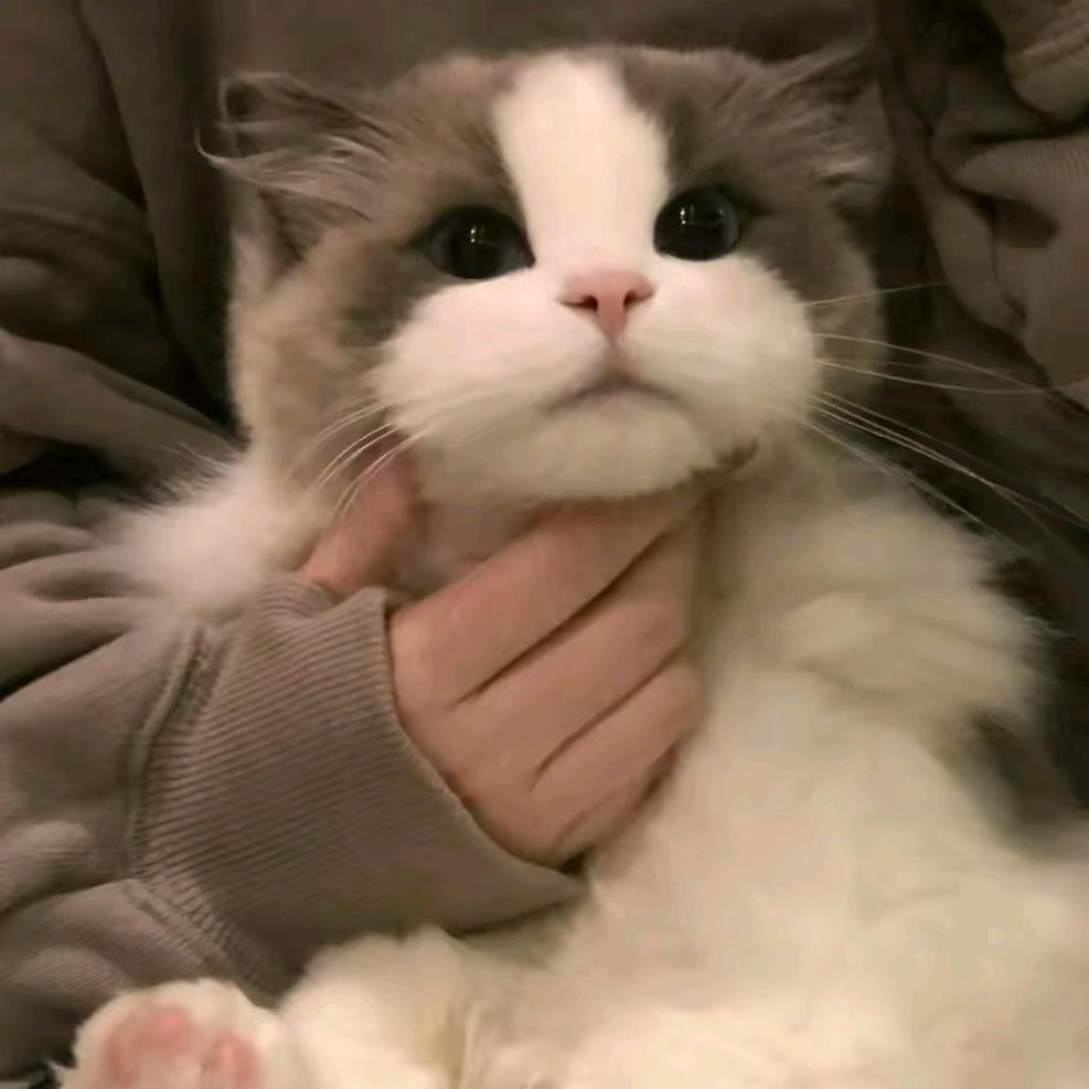 ?