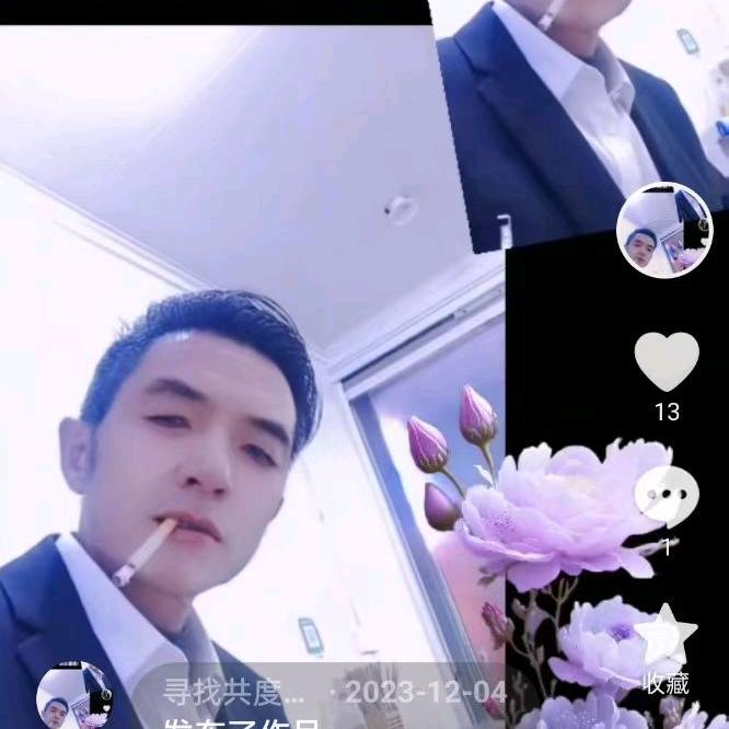 单身奋斗木材行业