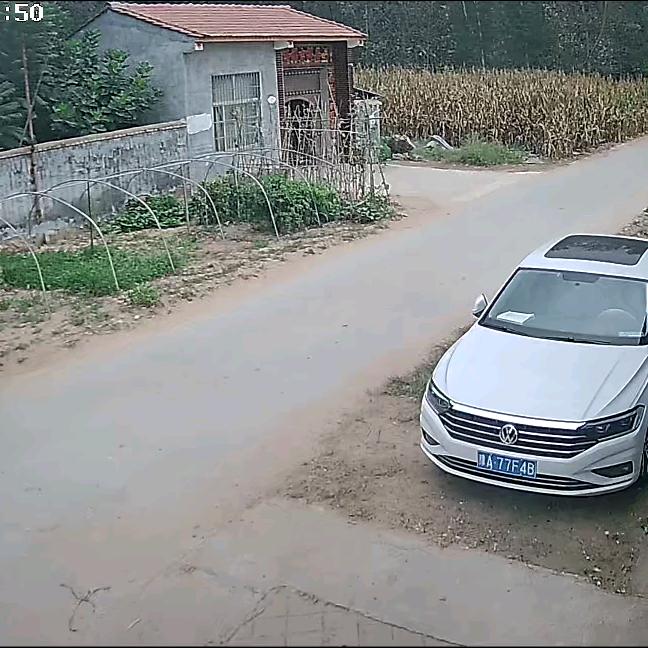 相濡以沫。