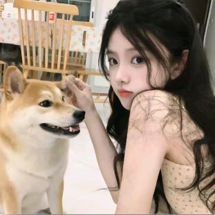 豆子