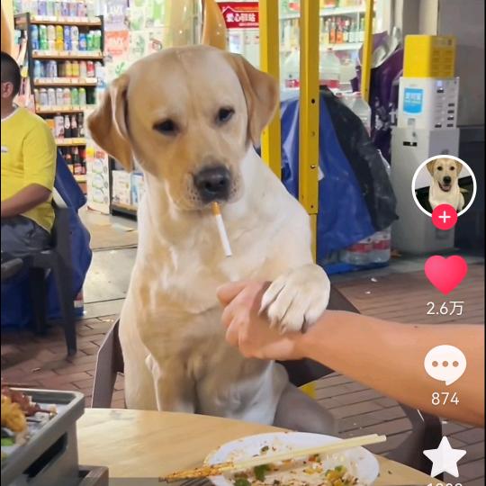 ༄༊ღ᭄下辈子，不来了༄༊࿆ღ