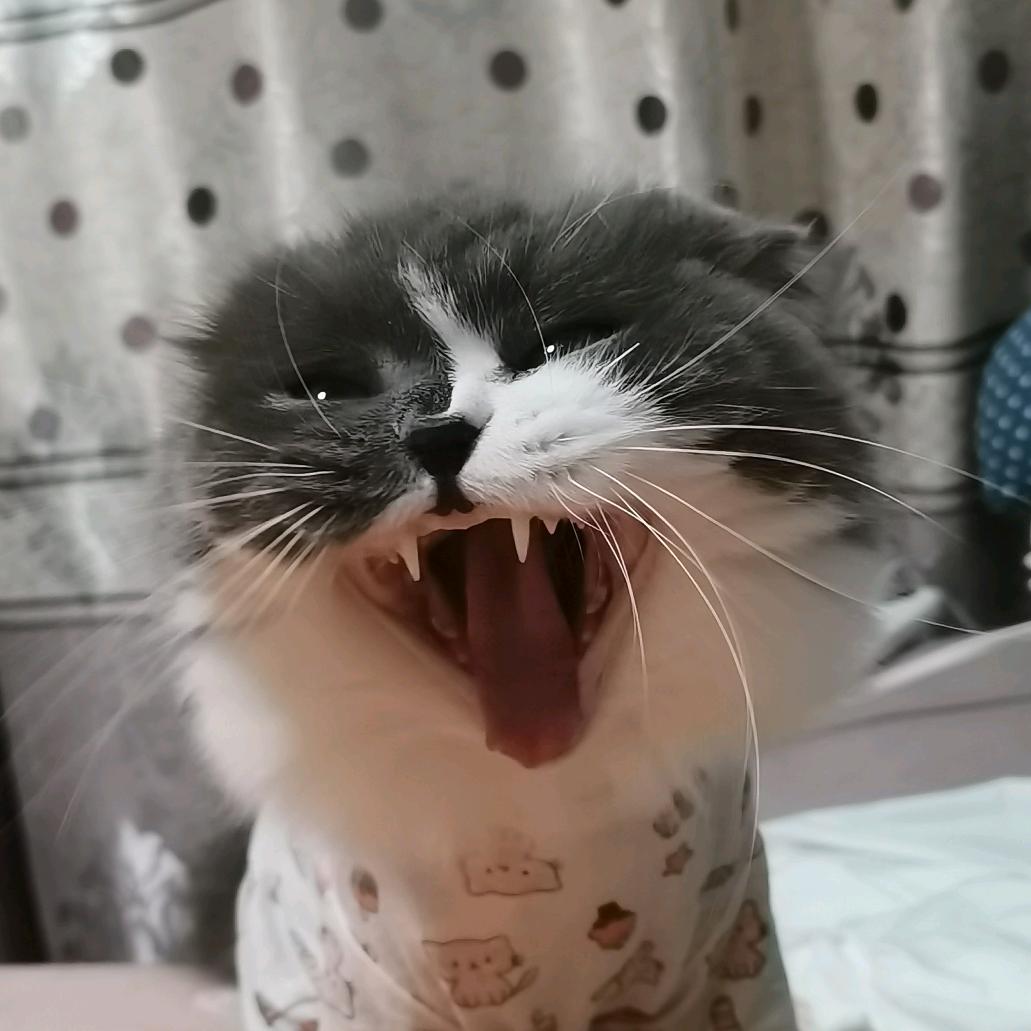 噼（也曾大喊来财也曾渴望玉牌）
