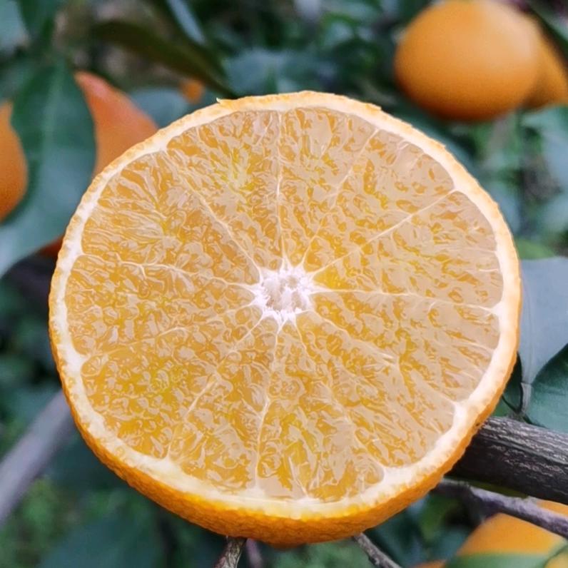 三苏农家供应链