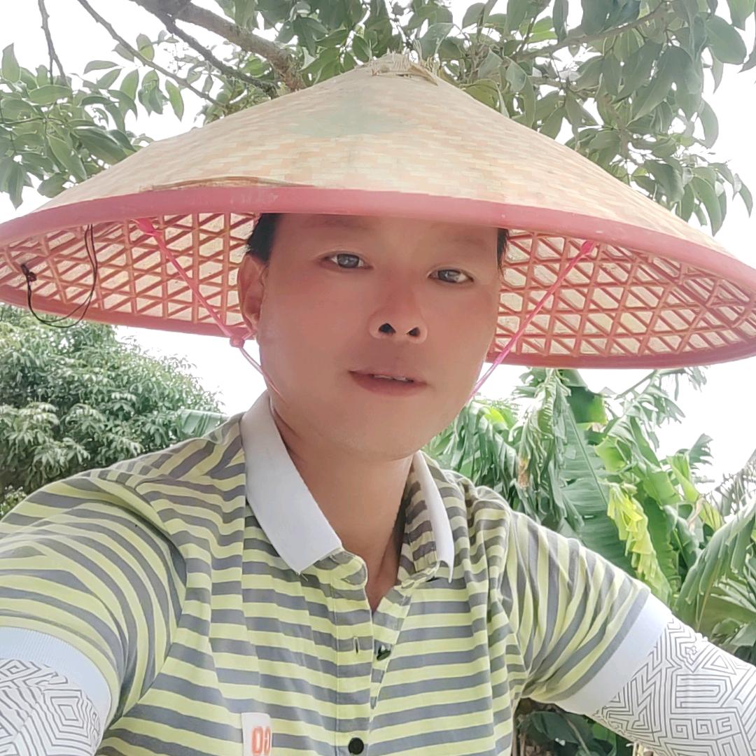 鱼头二