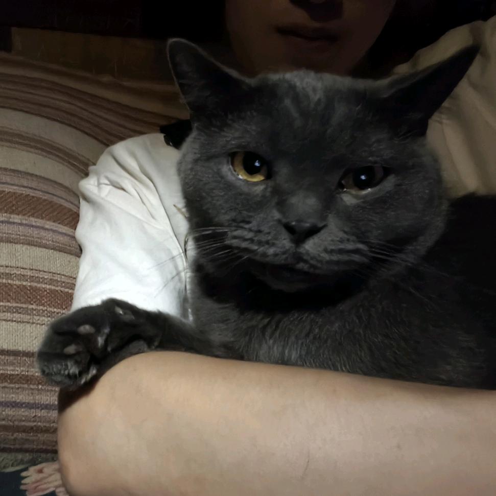 王侯