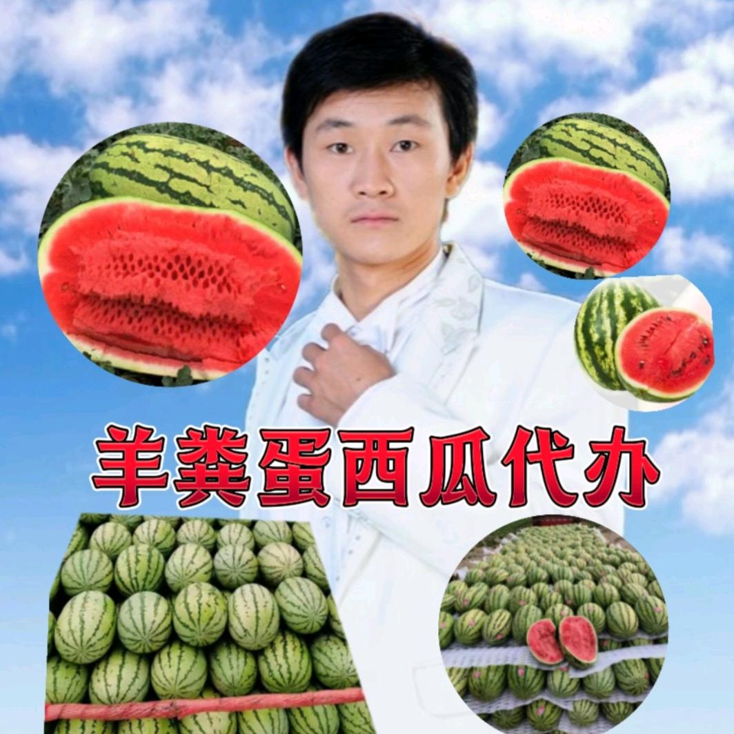 西瓜代办羊粪蛋