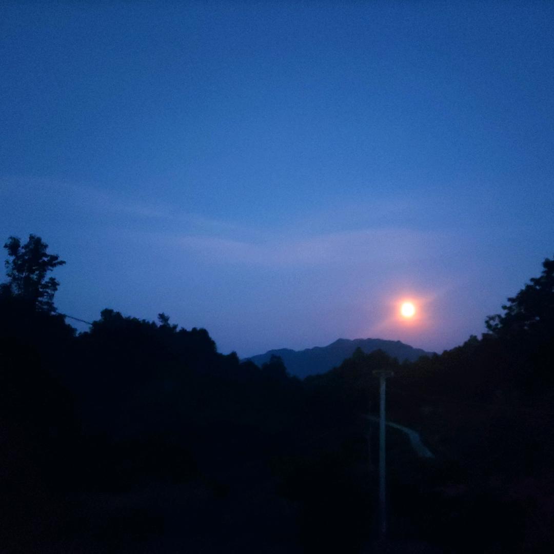禾头像