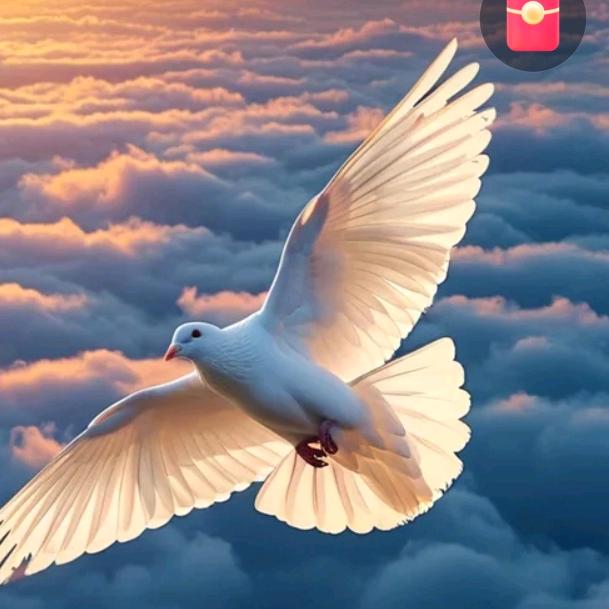 💫路过的风💫