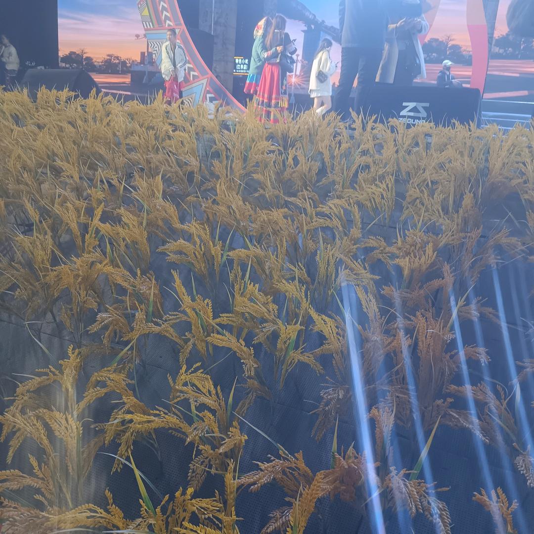 心以逝，唯有自渡