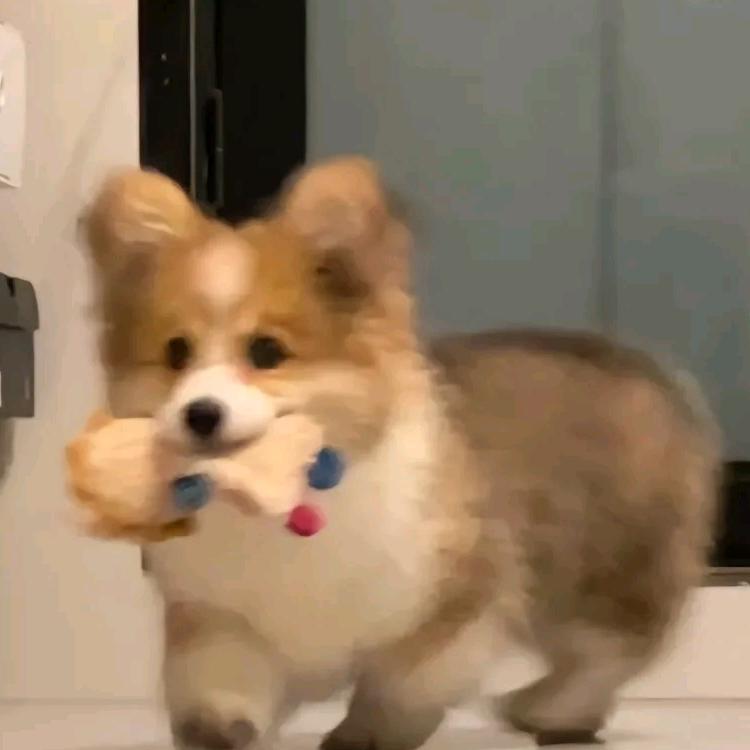 好为