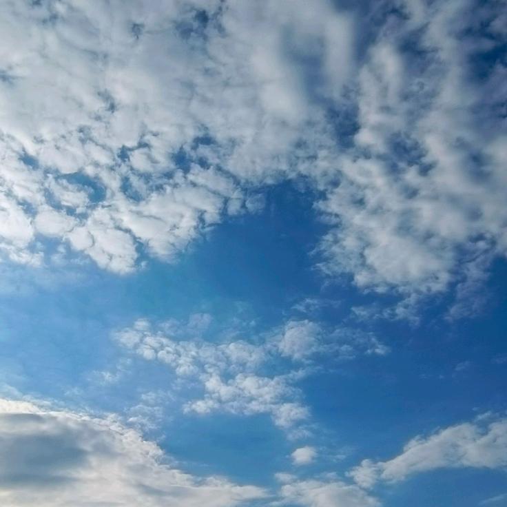 这么近那么美