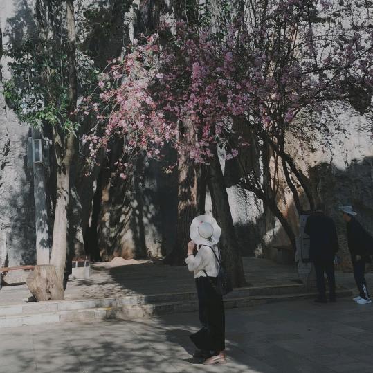 水冰月🍓