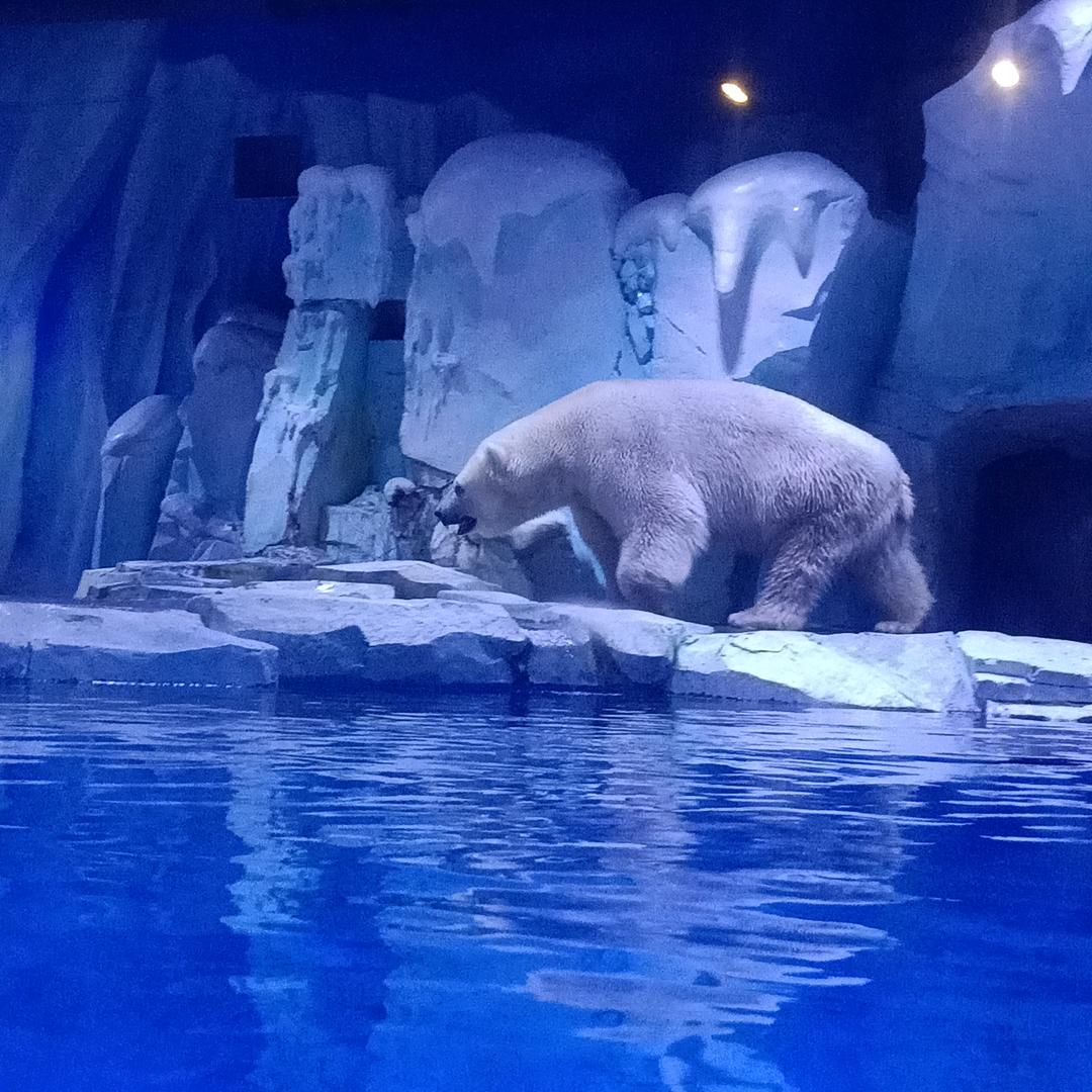 盛龙劳务(王经理)