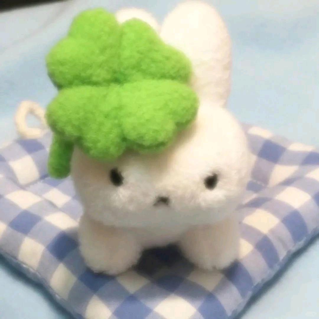 喵喵喵（互粉）