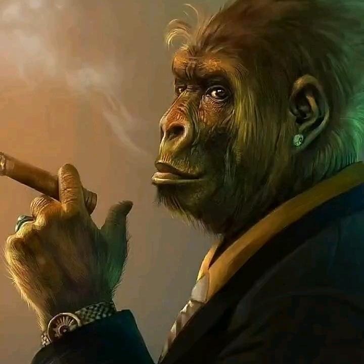 九层坡-闻🐔起舞