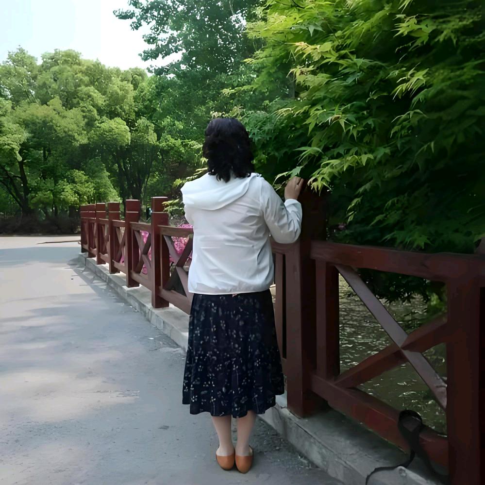 雨后彩虹