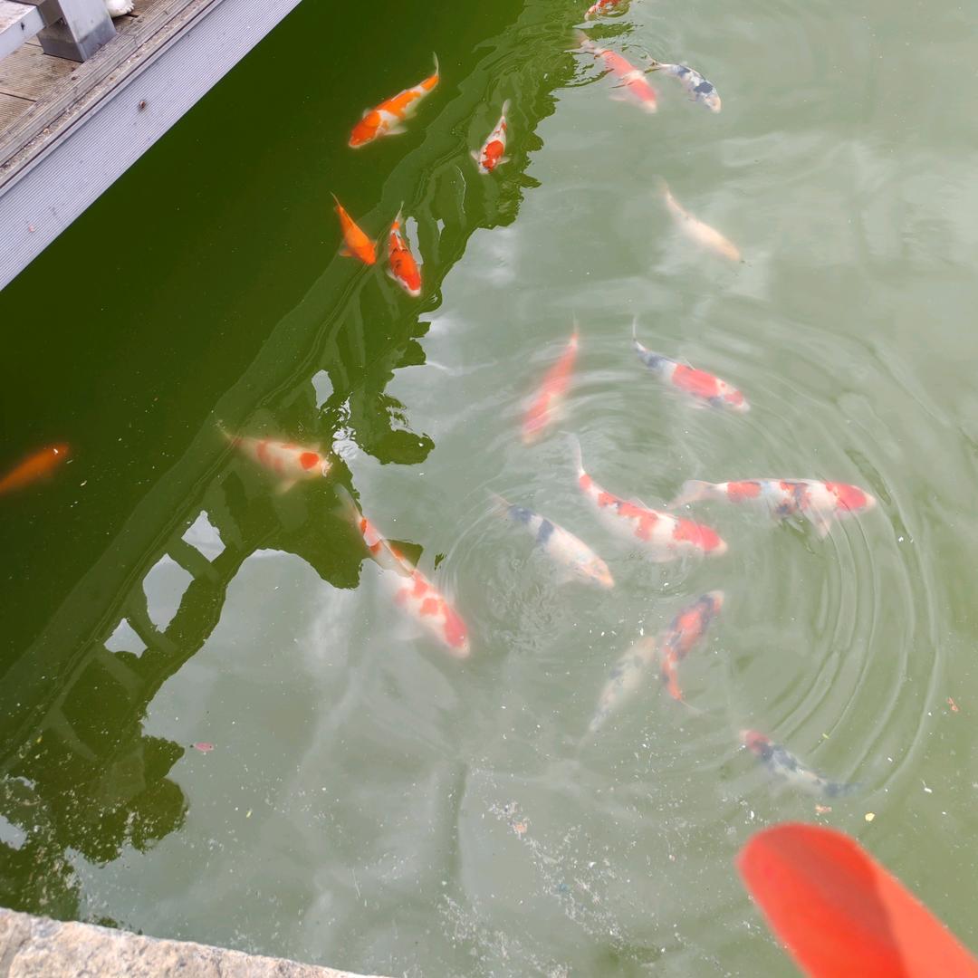 明天会更好