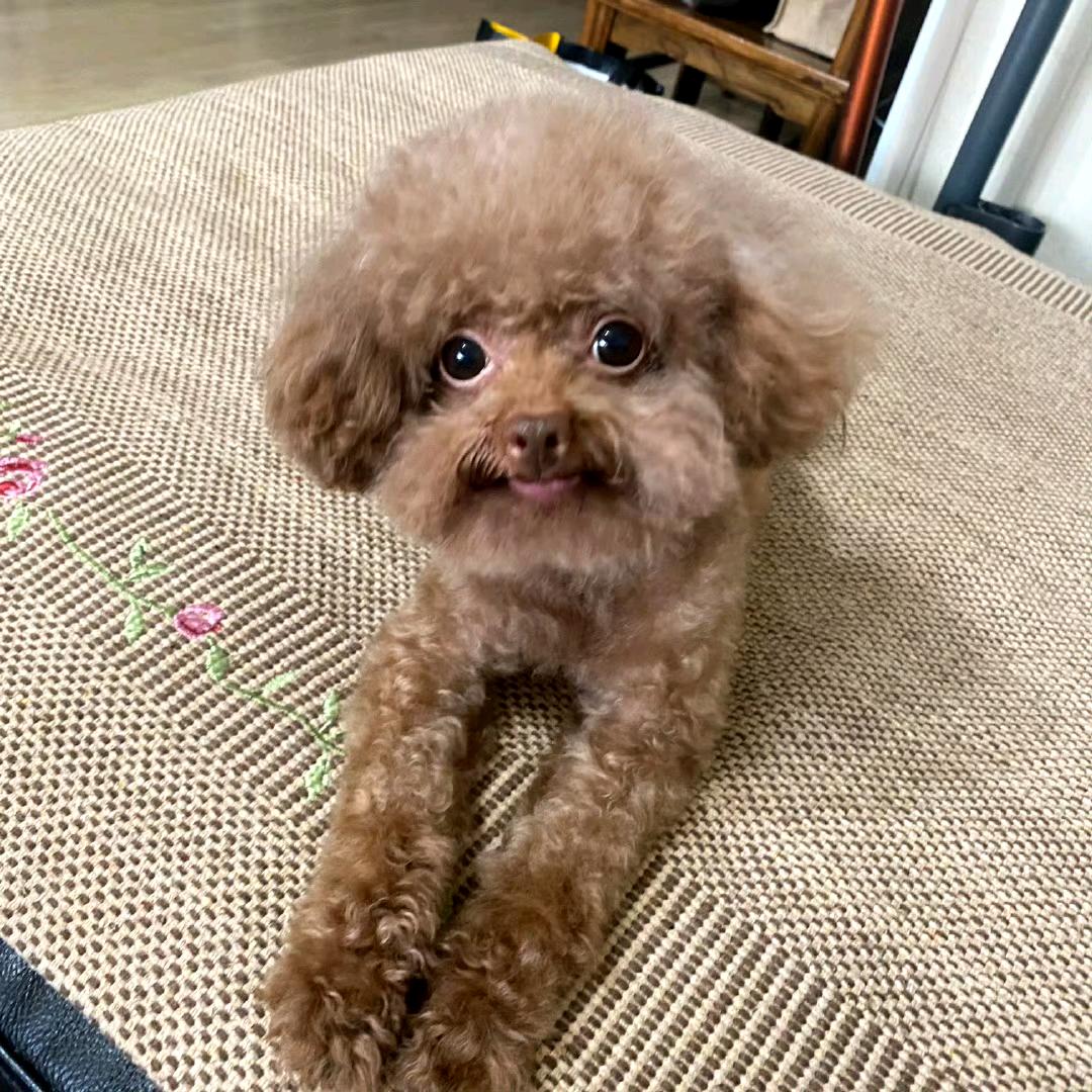 ঞ锦鲤小富婆℘࿐