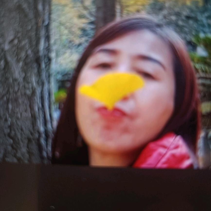小i龙