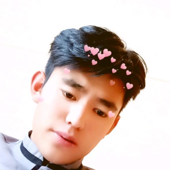Si__Lang
