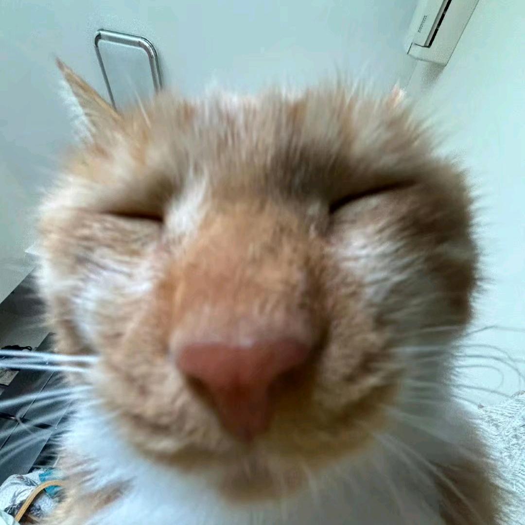 什么都不会的czm2