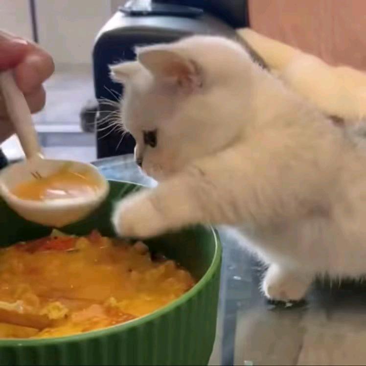 馋嘴猫零食铺