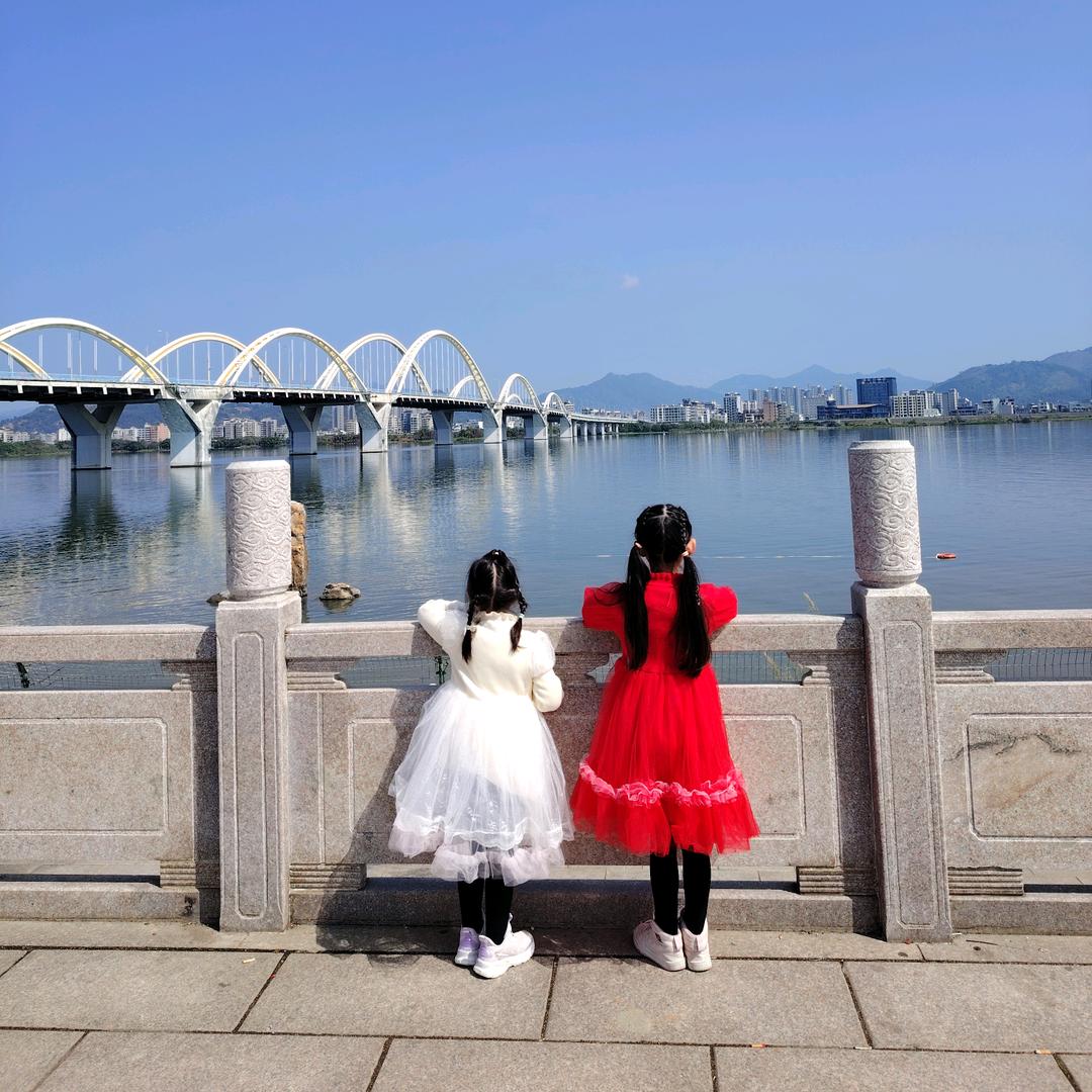 杜芳