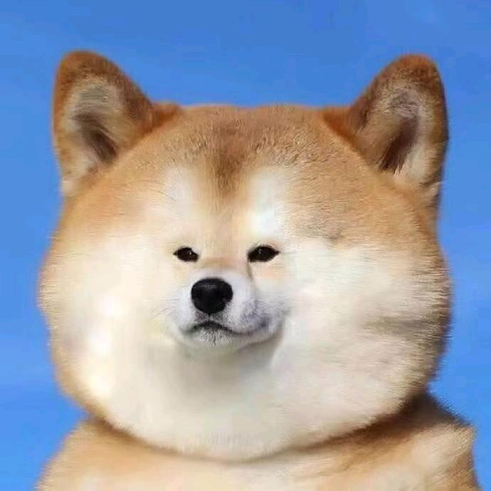 搞笑艺姐