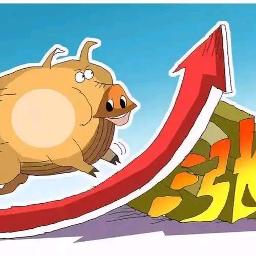 春南育种（春南百货）