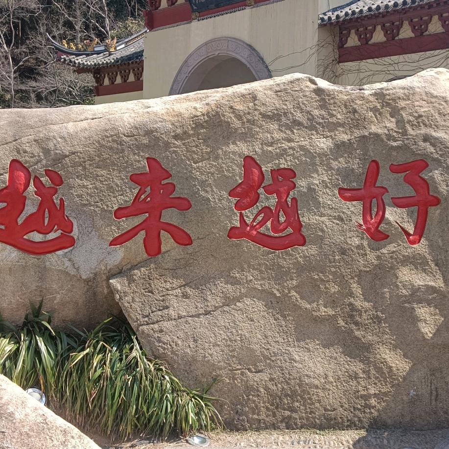 随心❤️所行