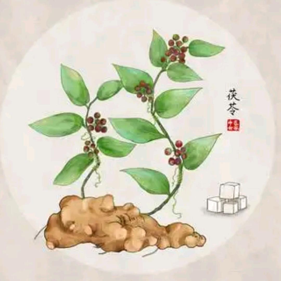 流-年