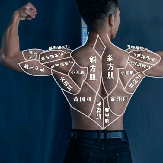 极致