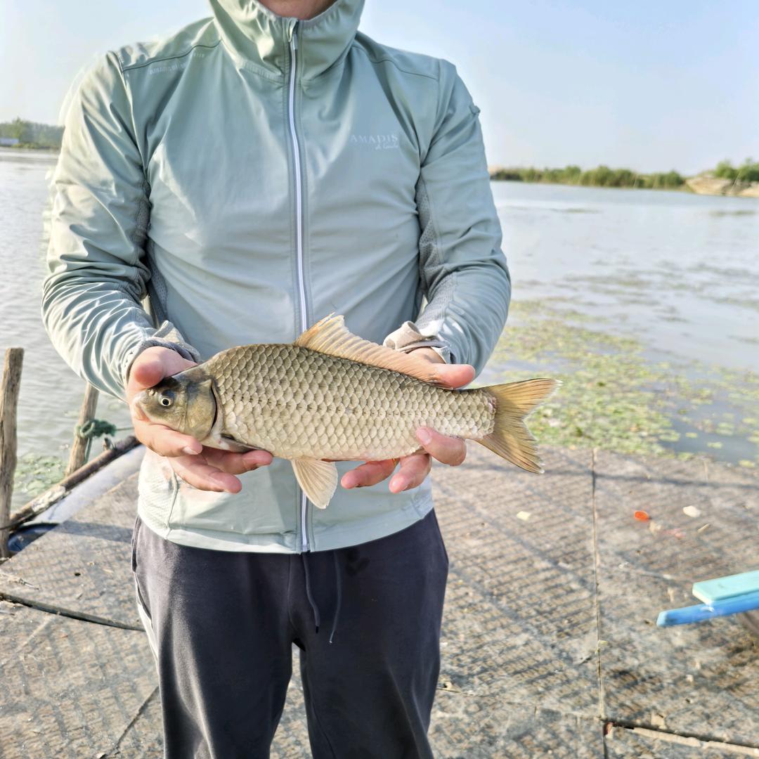 切线表演艺术家