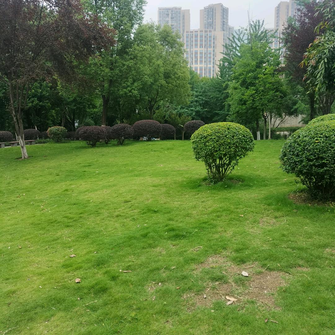 小鱼儿与花无缺