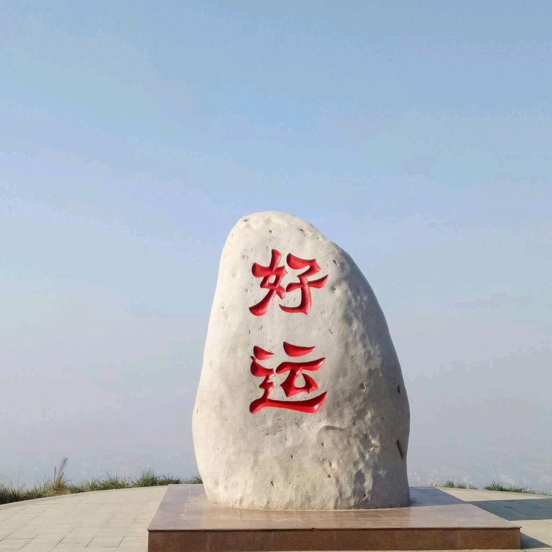 钱兔似锦大展鸿兔