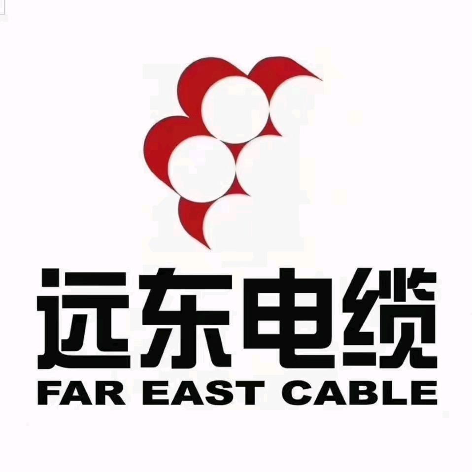 远东电缆 翟