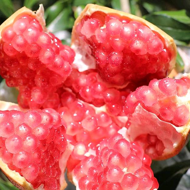 怀远石榴小店（果园直发）