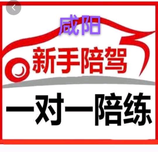 咸阳汽车陪练徐教练